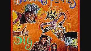 Burning Flames - Bush Dancer