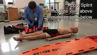 Long Bone Immobilization