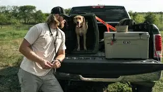 My Everyday Dog Training Essentials | My Gear