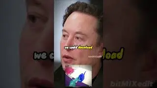 Elon Musk's Vision for Integrating Human Brain Functionality into Robots