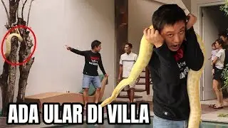 PRANK ULAR SEISI VILLA KACAU, ULAR ASLI 20 KILO.