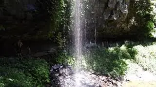 Crystal Shower Falls - Dorrigo National Park
