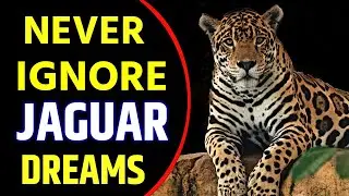 Jaguar in Dream Meaning | Jaguar Dream Interpretation