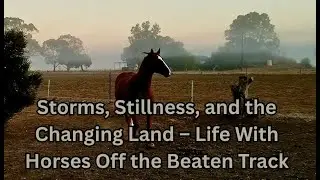 Storms, Stillness, and the Changing Land &ndash; Life With Horses Off the Beaten Track