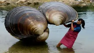 A huge surprise awaits everyone to discover the charm of giant clams and various pearls