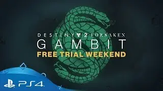 Destiny 2 | Gambit Free Weekend | PS4