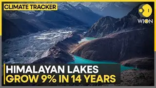 India: Glacial Lakes in India on the Rise: CWC | WION CLIMATE TRACKER