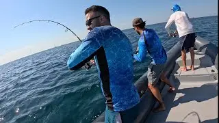 Un pomeriggio in Adriatico - Target Tonnetto Alletterato (false Albacore)