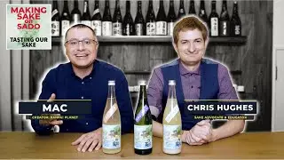 I made Japanese Sake and a sake expert reviewed it!