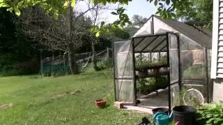 Mountain View Farm