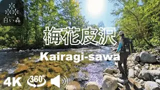 温身平森林セラピー®基地 360度体験「梅花皮沢」