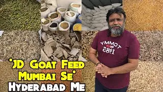 JD Goat Feed Now In Hyderabad | Multiple Types Of Feed For Goats & Cattle Available In Bandlaguda