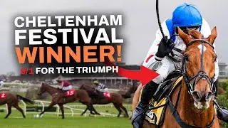 These Horses from Cheltenham Trials Day Will WIN at the Festival!