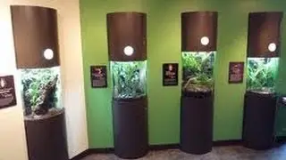 Spineless Marvels: San Diego Zoo Part 1