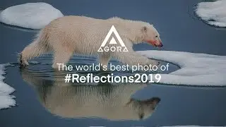 The world's best photo of #Reflections2019: Paal Uglefisk