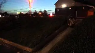 Wade Green Road skate session