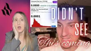 Why is Tattooed Chef bankrupt? TTCF stock Sam's Dirty Scam Jeremy Financial Education didn't know...