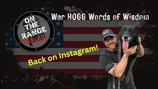 We're Back on Instagram? - War HOGG Words of Wisdom