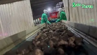video san terra version final