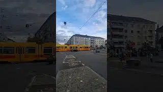SHORTS TECHNOLOGY 368 20 Tram Number 17 Binnigen Bottmingen Oberwil Therwil ettingen