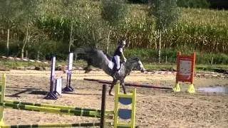 Nobel 31 Finale Flandria 90 cm 5 de plaats