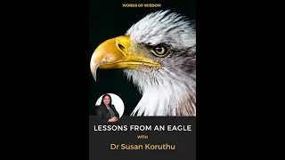 Words Of Wisdom - Lessons From An Eagle