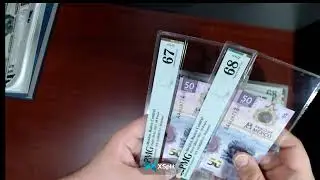 PMG World Bulk Consecutive Submission Mexico Axolotl Notes