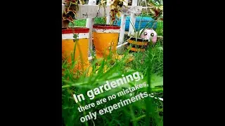 Diferent types of vegetables farming.