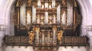 Rafael Ferreyra plays Bach at the Rieger Organ in Fulda Dom (Germany)
