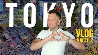 Япония ВЛОГ🇯🇵 Аукцион USS Tokyo / Japan Mobility Show 🚗
