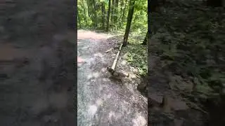 Healing Moment - Hiking Jefferson Forest - Toronto Canada Mental Wellness Healing Journey Retreats