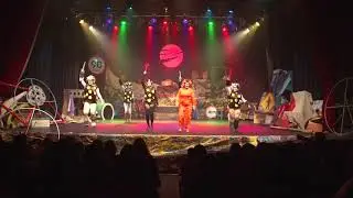 Releitura do musical Cats - Karen Pécora (2014)