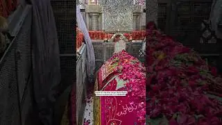 mira data dargah sharif New qawwali whatsapp 😍status video 📷 dargah sharif contact +917383844392