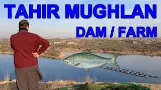 Tahir Mughlan Dam, Rawat, Punjab. Land and Farms, Fish farming. #mushabbar #visitpakistan #rawat