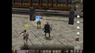 Metin2 MONASTYR Skille na P i G