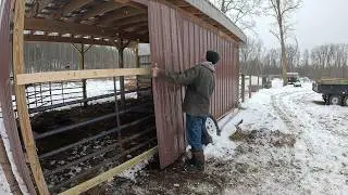 Повышение комфорта содержания скота на нашей небольшой ферме.