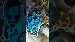 TVS King BS6 Clutch Plate Assembly Change