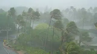 Gentle Night Rain for Sleeping | Pure Rain Sounds | Dark Screen