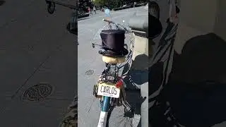 ⚡AMC flash⚡💥 vintage cruiser. touring NYC Washington square Park 🛞8/22/24🥸