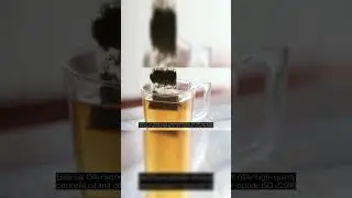 Citronella Oil Manufacturer - Essential Oils Factory