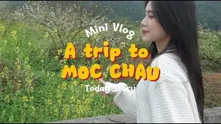 Exploring Moc Chau | Mountains, Nature & Travel Vlog In Vietnam