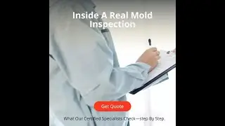 What Happens in a Professional Mold Inspection? #shorts