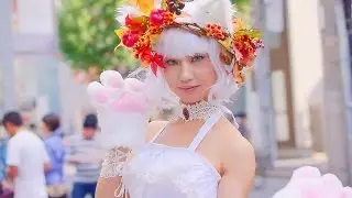 神楽坂 化け猫フェスティバル 2015 公式PV / Cat Halloween Festival Official Promo