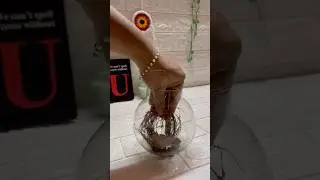 Terrarium at Home #diyterrarium  #garden #homecrafts  #gardencrafts  #terrarium #kerala #terrariums