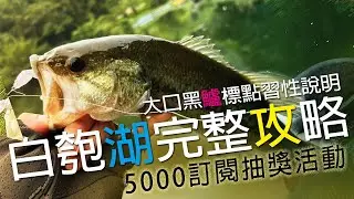 還沒釣過野鱸嗎? 白匏湖完整攻略，大口黑鱸標點習性說明，讓你了解白匏湖巴斯，5000訂閱抽獎! | 裝B的日子