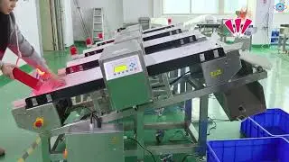 Custom high sensitivity Incline metal detectors with flap rejector #metaldetector#foodmetaldetector
