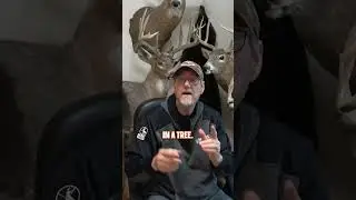 Засидки и подставки под деревья: два совершенно разных подхода! 🦌#олень #охотананаоленей