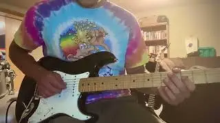 Love Is Only a Feeling - Homeshake Guitar Cover