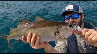 Catching a banned pollock and the art of pouting, Wreck fishing Cornwall. S4 E6 FH20