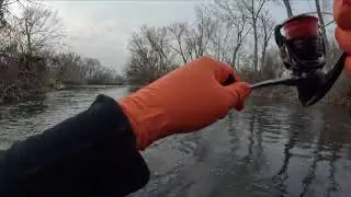 Boise River Steelhead